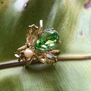 Bug brooch